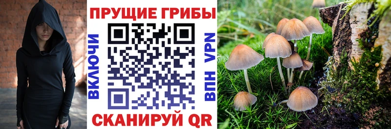 Галлюциногенные грибы GOLDEN TEACHER  Темрюк 